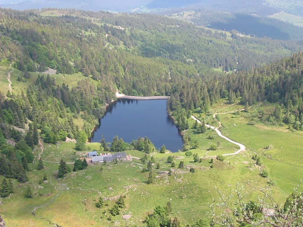 Ferme-Auberge du Forlet, photo 4