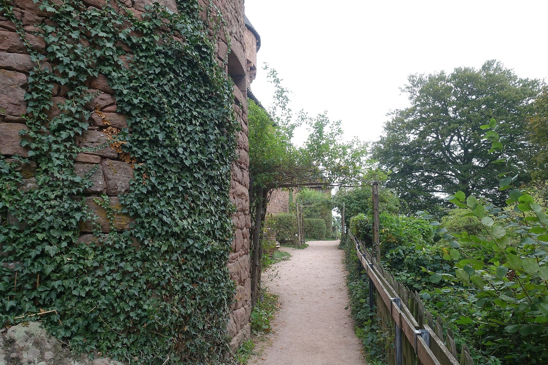 Château du Haut-Kœnigsbourg, photo 5