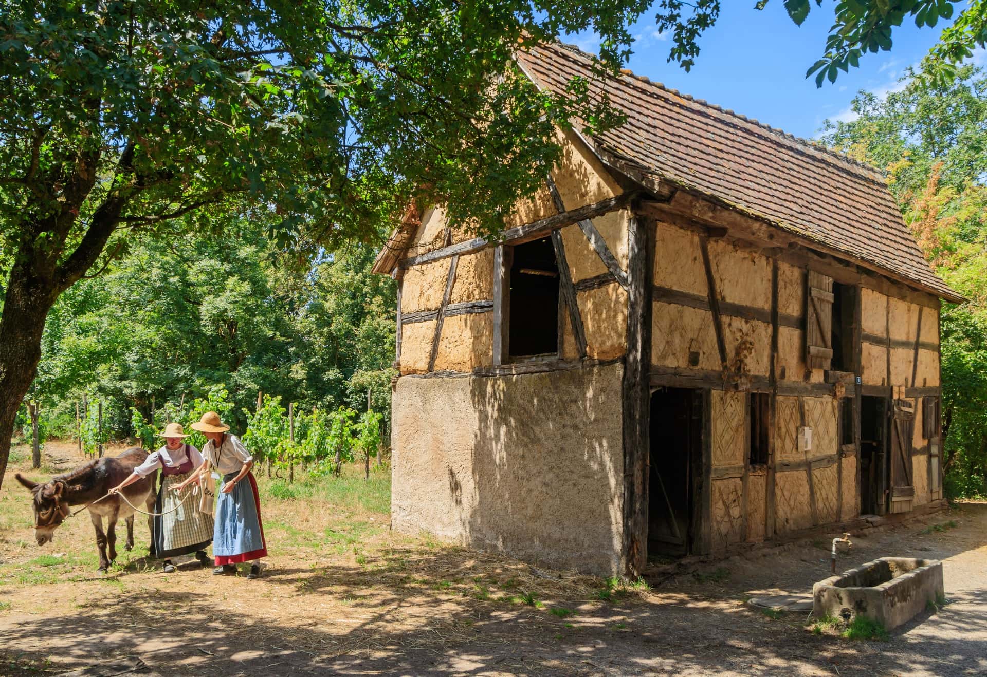 Écomusée d'Alsace, photo 1