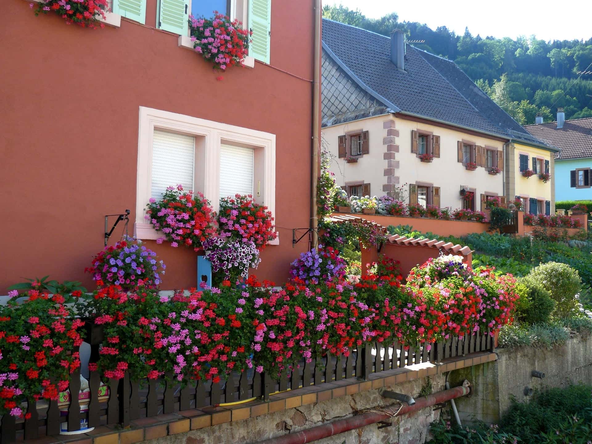 Maison du Pays Welche, photo 3