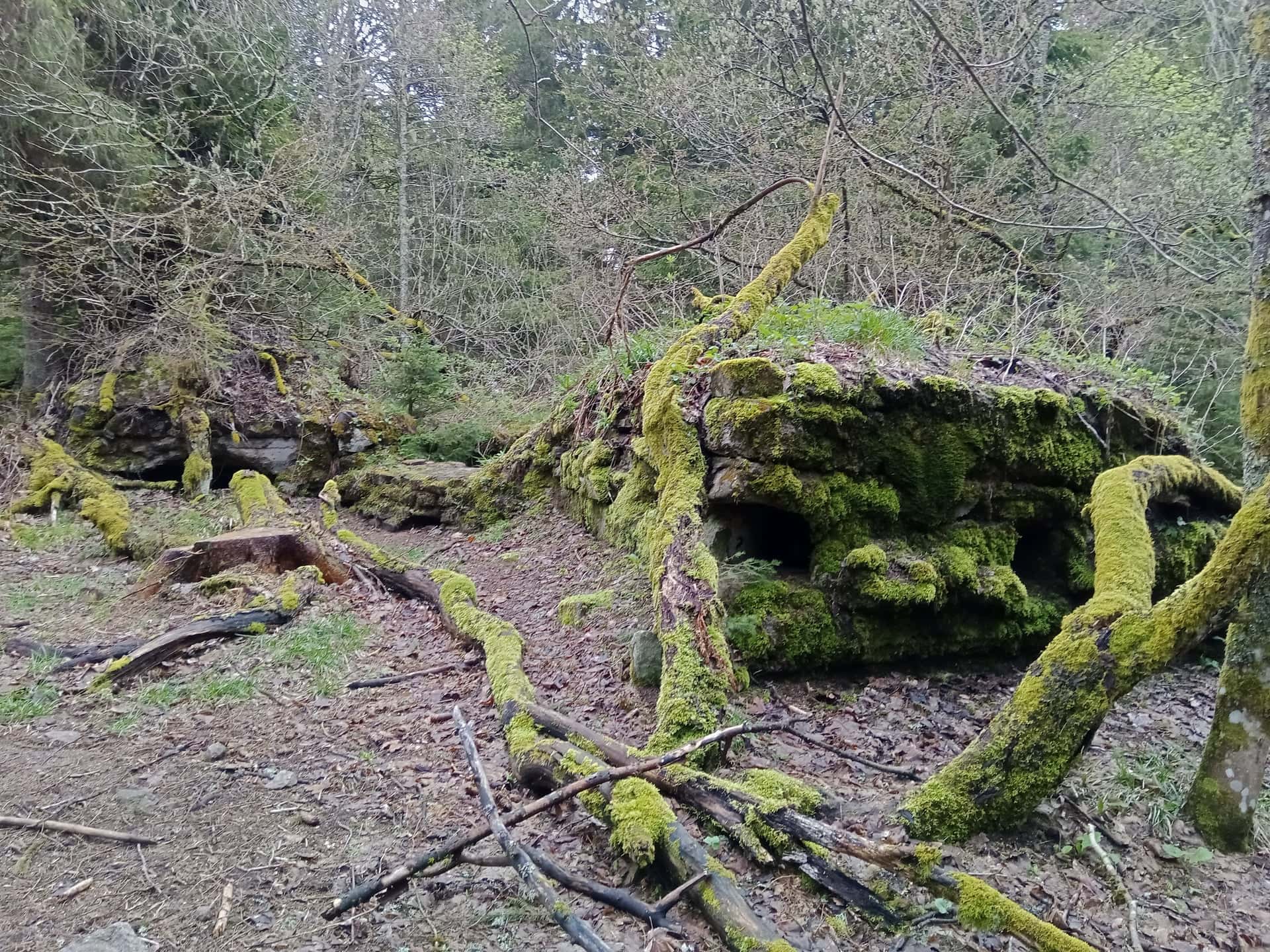 La Tête des Faux, photo 2