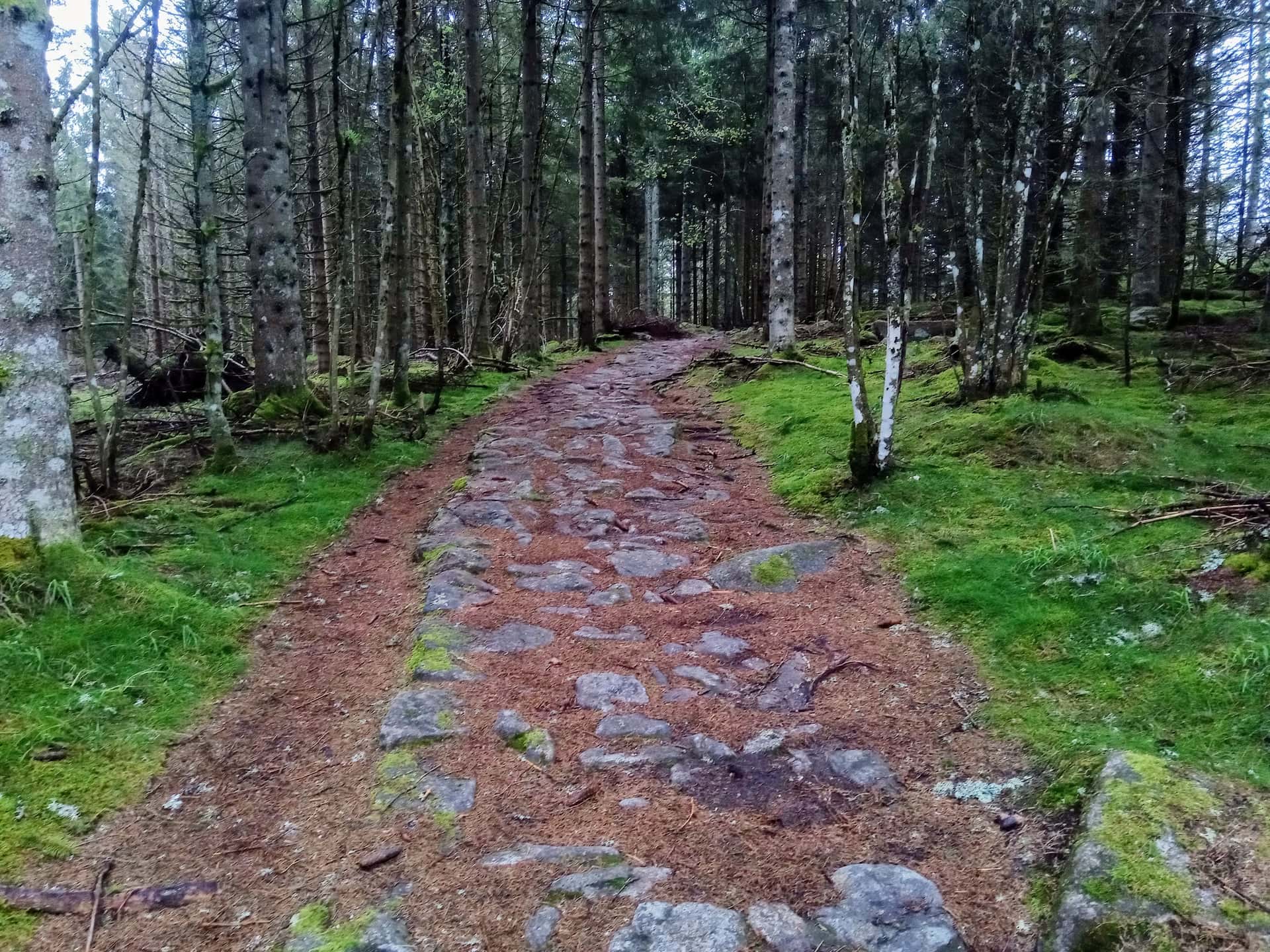 La Tête des Faux, photo 4