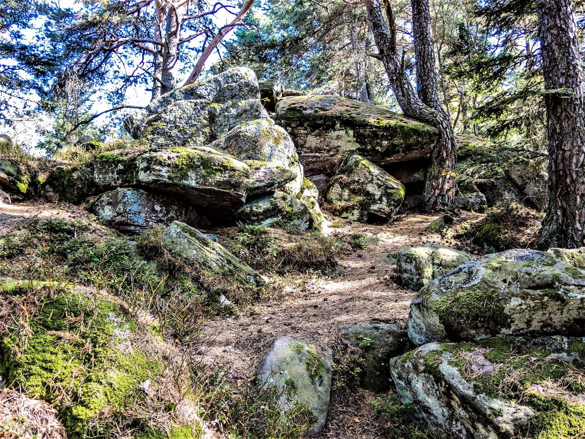 Around the Petit and Grand Hohnack, photo 1
