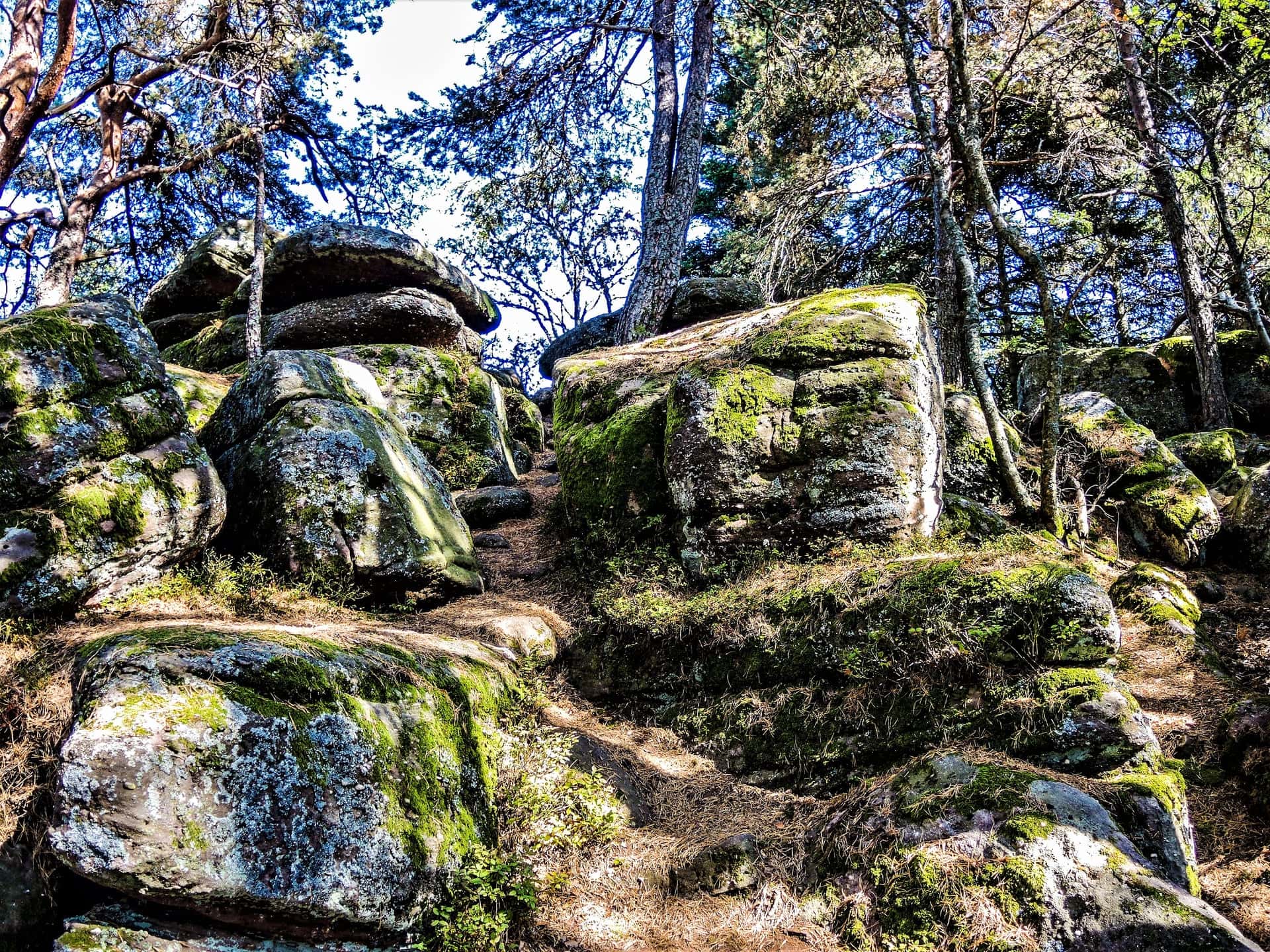 Around the Petit and Grand Hohnack, photo 3